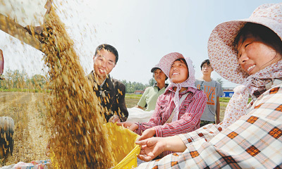 产粮大县调查:谁来种地 怎么种地