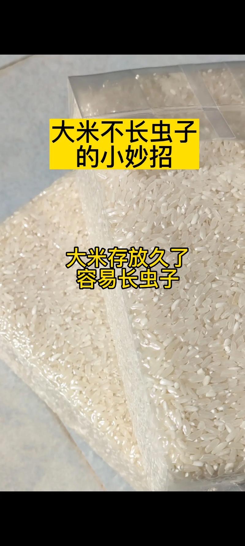 存放大米有妙招，爱惜粮食从仓储做起